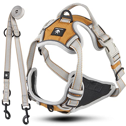 Dog & Dress Hundegeschirr + Leine Set Rocket, Gold/grau, schwarz, atmungsaktiv, reflektierend, verstellbar Dog & Dress Hundegeschirr + Leine Set Rocket, Gold/grau, schwarz, atmungsaktiv, reflektierend, verstellbar von Dog & Dress by Nacy Kena