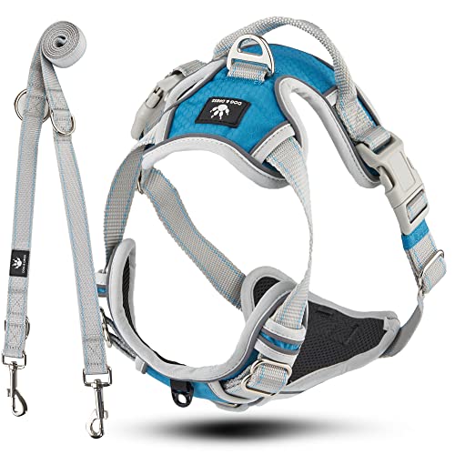 Dog & Dress Hundegeschirr + Leine Set Rocket, blau/grau, Silber, atmungsaktiv, reflektierend, verstellbar Dog & Dress Hundegeschirr + Leine Set Rocket, blau/grau, Silber, atmungsaktiv, reflektierend, verstellbar von Dog & Dress by Nacy Kena