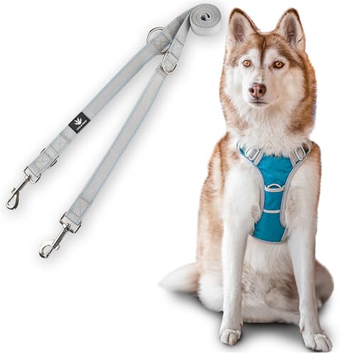 Dog & Dress Hundegeschirr & Leine Set – Atmungsaktiv, Verstellbar, Gepolstert & Reflektierend – Für große & mittelgroße Hunde (Blau, M (59-76cm Brustumfang)) von Dog & Dress