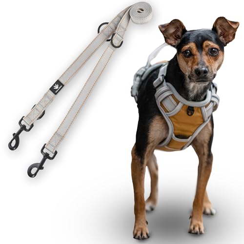 Dog & Dress Hundegeschirr & Leine Set – Atmungsaktiv, Verstellbar, Gepolstert & Reflektierend – Für große & mittelgroße Hunde (Gold, S (51-66cm Brustumfang)) von Dog & Dress