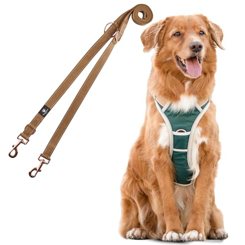 Dog & Dress Hundegeschirr & Leine Set – Atmungsaktiv, Verstellbar, Gepolstert & Reflektierend – Für große & mittelgroße Hunde (Grün, XL (76-101cm Brustumfang)) von Dog & Dress