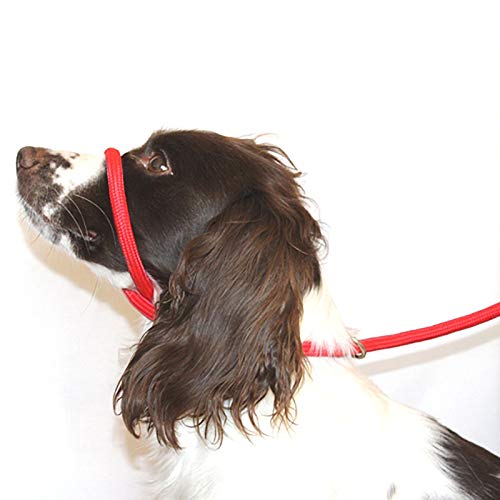 Dog & Field 8 Anti -Pull- Blei/Halter/Kopf Kragen (RED) - Einheitsgröße - Super Soft geflochtenes Nylon - Montageanleitung inklusive von Dog & Field