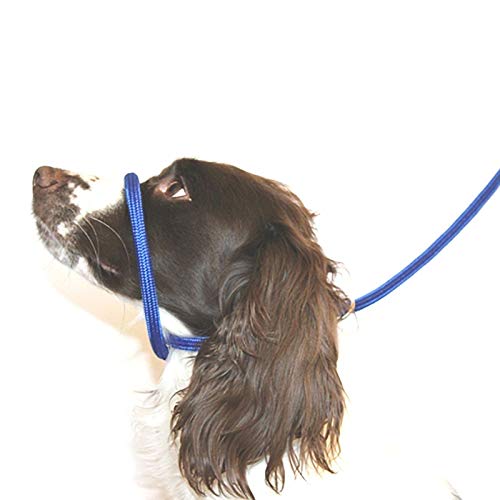 Dog & Field 8 Anti -Pull- Blei/Halter/Kopf Kragen (blau) - Einheitsgröße - Super Soft geflochtenes Nylon - Montageanleitung inklusive von Dog & Field