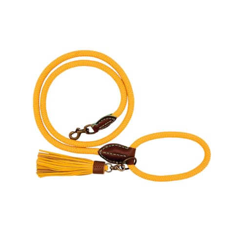 DWAM Dog with a Mission Dog Leash – Leine für Hunde – Gelb – Polyester/Leder – L – 155 x 1,4 cm – Hundeleine Bibi DWAM Dog with a Mission Dog Leash – Leine für Hunde – Gelb – Polyester/Leder – L – 155 x 1,4 cm – Hundeleine Bibi von Dog with a Mission