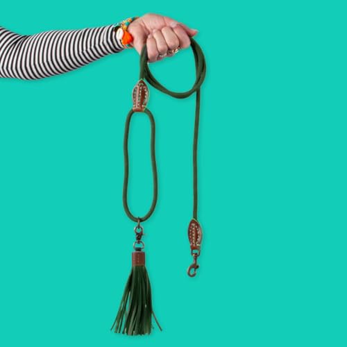 DWAM Dog with a Mission Dog Leash – Leine für Hunde – Grün – Polyester/Leder – L – 155 x 1,4 cm – Bowie von Dog with a Mission