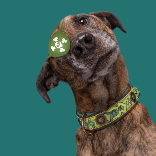 DWAM Dog with a Mission – Hundehalsband – Hundehalsband – Grün – XXS – Leder – Halsumfang zwischen 19–24 x 2 cm – Boho Diego DWAM Dog with a Mission – Hundehalsband – Hundehalsband – Grün – XXS – Leder – Halsumfang zwischen 19–24 x 2 cm – Boho Diego von Dog with a Mission