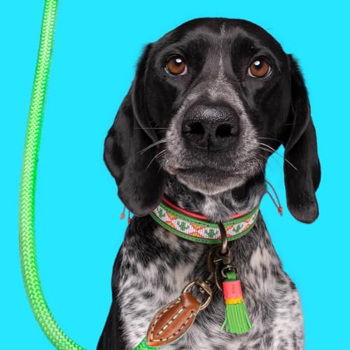 Dog with a Mission - Hundehalsband XS | Farbenfroh Grün, Rosa mit Perlen | Hübsch, Boho, Ethno, Ibiza, Hippie | Kleine Hunde | Handgemacht | Modisch und Bunt | Aus weichem Echtes Leder | 2 cm Breit von Dog with a Mission