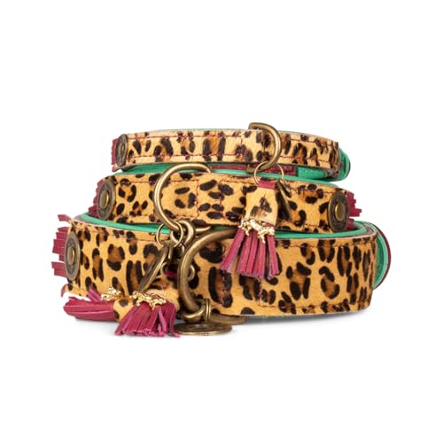 Dog with a Mission - Hundehalsband XXS | Leopard, Türkis, Braun | Boho, Ethno, Urban, Hippie | Ideal für große Hunde | Handgemacht, Bunt und Modisch Design, Luxe | 2 cm Breit Dog with a Mission - Hundehalsband XXS | Leopard, Türkis, Braun | Boho, Ethno, Urban, Hippie | Ideal für große Hunde | Handgemacht, Bunt und Modisch Design, Luxe | 2 cm Breit von Dog with a Mission