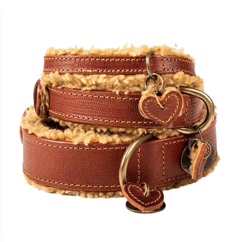 Dog with a Mission - Hundehalsband XS | Braunes Leder, Teddy | Einfach und modisch | Ideal für kleine Hunde | Handgemacht | Hübsch, Boho, Ethno, Urban, Hippie, Simple | Luxe | 2 cm Breit Dog with a Mission - Hundehalsband XS | Braunes Leder, Teddy | Einfach und modisch | Ideal für kleine Hunde | Handgemacht | Hübsch, Boho, Ethno, Urban, Hippie, Simple | Luxe | 2 cm Breit von Dog with a Mission