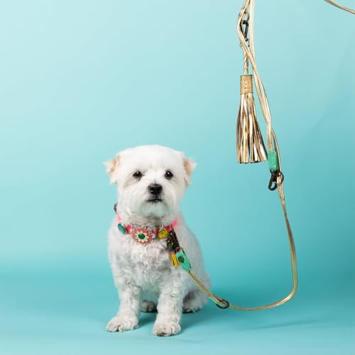 DWAM Dog with a Mission - Hundeleine – Leine für Kleine Hunde – Verstellbar - Freihandleine - Gold – Leder – XXS – 220 x 0,8 cm – Extra Lange Golden Moon Hundeleine DWAM Dog with a Mission - Hundeleine – Leine für Kleine Hunde – Verstellbar - Freihandleine - Gold – Leder – XXS – 220 x 0,8 cm – Extra Lange Golden Moon Hundeleine von Dog with a Mission