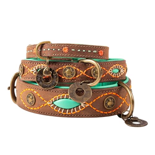 Dog with a Mission - Hundehalsband S | Braun, Mint, Bestickt | Boho, Ethno, Urban, Hippie | Kleine Hunde | Handgemacht | Modisch und Bunt | Aus weichem Echtes Leder | 2 cm Breit von Dog with a Mission