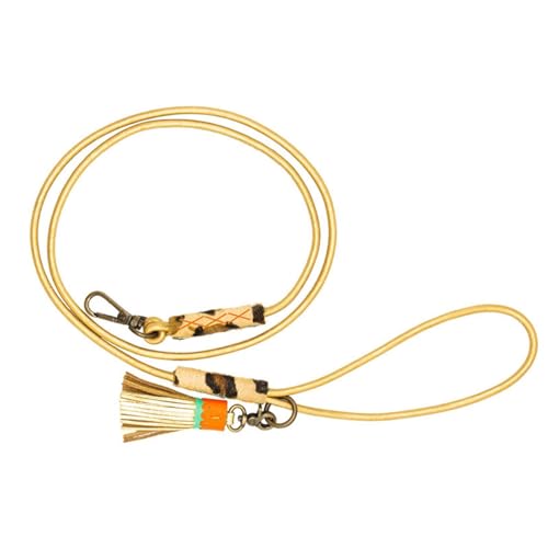 DWAM Dog with a Mission - Hundeleine – Leine für Hunde – Mini-Hund – Welpe – Welpenleine – Gold – Leder – Einheitsgröße – 135 x 0,8 cm – Goldie von Dog with a Mission