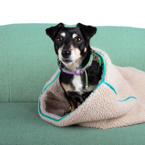 Dog with a Mission Teddy Dream Luxuriöser Türkis Schlafsack für Kleine Hunde von Dog with a Mission
