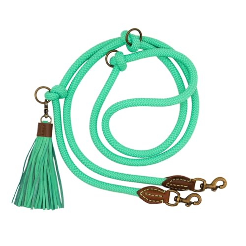 DWAM Dog with a Mission - Hundeleine – Leine für Hunde - Verstellbar - Freihandleine – Türkis – Polyester - Leder - Tau – L – 220 x 1,4 cm – Extra lang Jade von Dog with a Mission