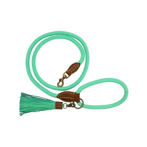 DWAM Dog with a Mission - Hundeleine – Leine für Hunde – Türkis – Polyester - Leder - Tau – L – 155 x 1.4 cm – Jade DWAM Dog with a Mission - Hundeleine – Leine für Hunde – Türkis – Polyester - Leder - Tau – L – 155 x 1.4 cm – Jade von Dog with a Mission