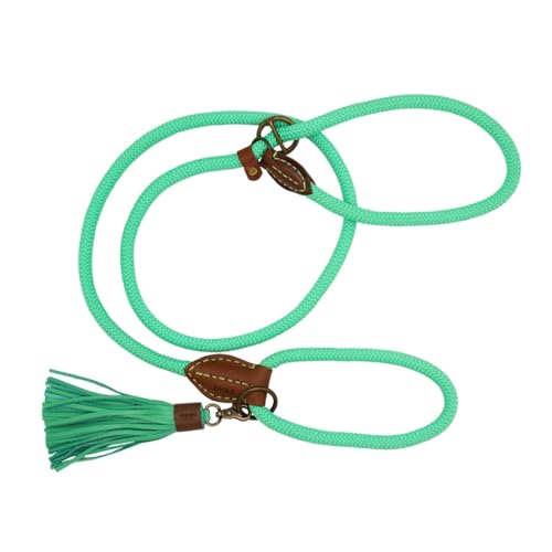 DWAM Dog with a Mission - Hundeleine - Tau - Leine für Hunde – Polyester/Leder – Türkis - Einheitsgröße – 200 x 1,4 cm – Long John Jade Schlupfleine von Dog with a Mission
