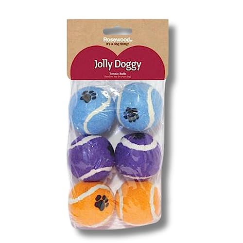 Hunde-Geschenk | 6 Hunde-Tennisbälle | Hundespielzeug | perfekt als Geburtstagsgeschenk für Hunde | Hundegeschenk Hunde-Geschenk | 6 Hunde-Tennisbälle | Hundespielzeug | perfekt als Geburtstagsgeschenk für Hunde | Hundegeschenk von DogBox Boutique