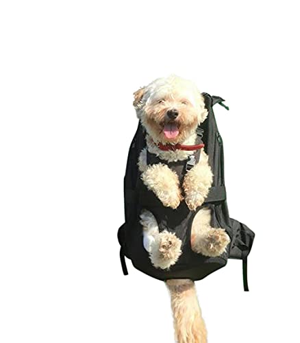 Dog Carrier Leg Free Hunderucksack Hundetasche Hundetrage Hundetragetasche Rucksack zum Tragen von Hunden von mindestens 9 bis maximal 18 kg von DogCarrier