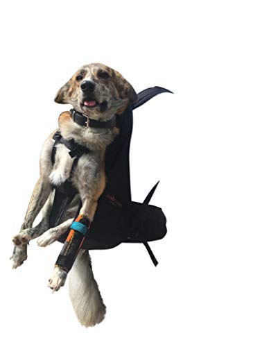 Dog Carrier T2 Rucksack für Hunde bis 16kg als Hunderucksack/Hundetrage/Hundetasche/m. integrierten Wanderrucksack von DogCarrier