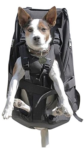 Große Tasche für Hunde, Transportgeschirr für Hunde, Rucksack für Hunde, Hunde, Tragetasche, Hundetasche, Hunderucksack, Hundetasche, 7-16 kg von DogCarrier