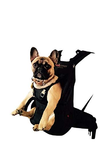 PREMIUM Hundetasche als Hunderucksack / Rucksack für Hunde / Hundetrage / Hundetragetasche / Hunderucksack / Tasche für Hunde / Hundekorb SMALL ROT 5-10 kg von DogCarrier
