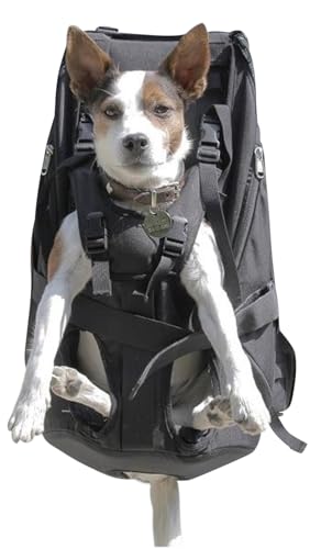 Patentierter Premium Leg Free Rucksack zum Tragen von Hunden Hunderucksack Hundetrage Hundetragerucksack für Hunde von 11-18kg mit 4-Träger Targesystem Patentierter Premium Leg Free Rucksack zum Tragen von Hunden Hunderucksack Hundetrage Hundetragerucksack für Hunde von 11-18kg mit 4-Träger Targesystem von DogCarrier
