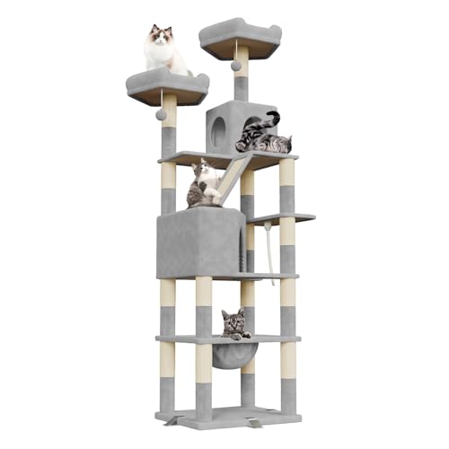 Dogat Katzenbaum Groß, Katzenbaum XXL, 208cm Katzen Kratzbaum Groß, mit 3 Exklusiv Verstärkungsclips, 16 Kratzsäulen, Katzenhaus und Hängematte, Kratzbrett für Große und Kleine Katzen, Hellgrau Dogat Katzenbaum Groß, Katzenbaum XXL, 208cm Katzen Kratzbaum Groß, mit 3 Exklusiv Verstärkungsclips, 16 Kratzsäulen, Katzenhaus und Hängematte, Kratzbrett für Große und Kleine Katzen, Hellgrau von Dogat