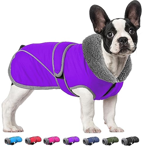 Dogchee Wintermantel für Hunde, Fleece-Kragen, Hundejacke, Kleidung, reflektierendes Fleece-Futter, Haustier-Pullover, warme Bekleidung für kleine, mittelgroße und große Hunde von Dogcheer