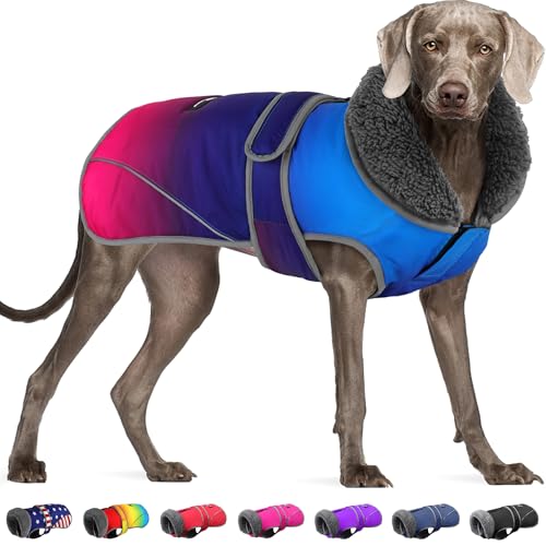 Dogcheer Hundemantel, weihnachtliche Hundejacke, wasserdichter Hunde-Wintermantel für kaltes Wetter, reflektierend, verstellbar, für Welpen, Schneejacke, Fleecepullover für kleine, mittelgroße und Dogcheer Hundemantel, weihnachtliche Hundejacke, wasserdichter Hunde-Wintermantel für kaltes Wetter, reflektierend, verstellbar, für Welpen, Schneejacke, Fleecepullover für kleine, mittelgroße und von Dogcheer