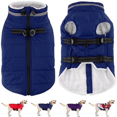 Dogcheer Hundemantel - wasserdichte Hundejacke mit Geschirr, reflektierender Wintermantel mit Reißverschluss - Blau, XS Dogcheer Hundemantel - wasserdichte Hundejacke mit Geschirr, reflektierender Wintermantel mit Reißverschluss - Blau, XS von Dogcheer