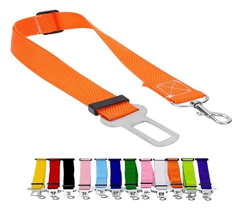 Doggie Style Store Auto-Sicherheitsgurt-Leine für Hunde, Haustiere, Welpen, Universal-Passform, Sicherheitsgurt, verstellbarer Nylongurt, Metallclip, Orange von Doggie Style Store