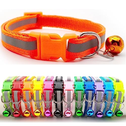 Doggie Style Store Halsband für kleine Hunde, Welpen, Katzen, Kätzchen, reflektierend, Warnstreifen, Nylon, Glocke, verstellbar, Schnellverschluss-Clip, Orange von Doggie Style Store