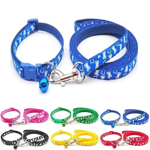 Doggie Style Store Halsband und Leine, für kleine Hunde, Welpen, Katzen, Kätzchen, Nylon, mit Glocke, verstellbar, Schnellverschluss, Blau von Doggie Style Store