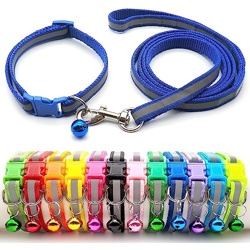 Doggie Style Store Halsband und Leine für kleine Hunde, Welpen, Katzen, Kätzchen, reflektierend, Hi-Vis Streifen, Nylon, Glocke, verstellbar, Schnellverschluss-Clip, Blau von Doggie Style Store