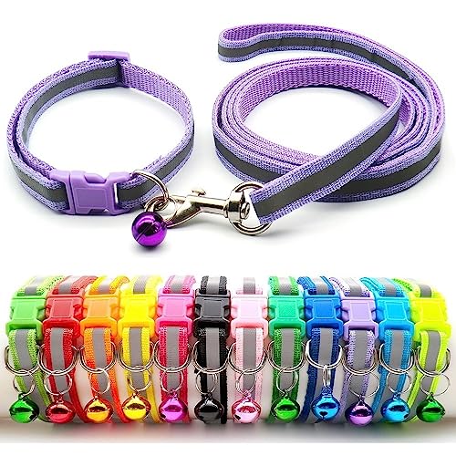 Doggie Style Store Halsband und Leine für kleine Hunde, Welpen, Katzen, Kätzchen, reflektierend, Hi-Vis Streifen, Nylon, Glocke, verstellbar, Schnellverschluss-Clip, Leine, Hellviolett von Doggie Style Store