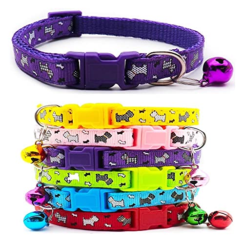 Doggie Style Store Hundehalsband, Nylon, mit Glockenschnalle, klein, Violett, 6 Farben von Doggie Style Store