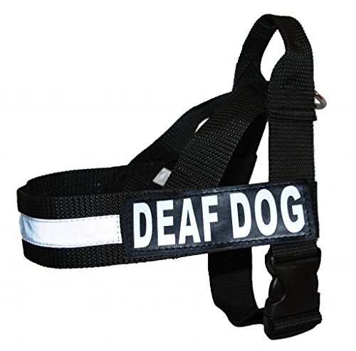 Deaf Hund Nylon Gurt Service Hundegeschirr Keine Pull Guide Hilfe kommt mit 2 Reflektierende abnehmbare Klett Patches. Bitte Messen Sie Ihren vor Bestellung., Medium Fits Girth 22-29", schwarz Deaf Hund Nylon Gurt Service Hundegeschirr Keine Pull Guide Hilfe kommt mit 2 Reflektierende abnehmbare Klett Patches. Bitte Messen Sie Ihren vor Bestellung., Medium Fits Girth 22-29", schwarz von Doggie Stylz