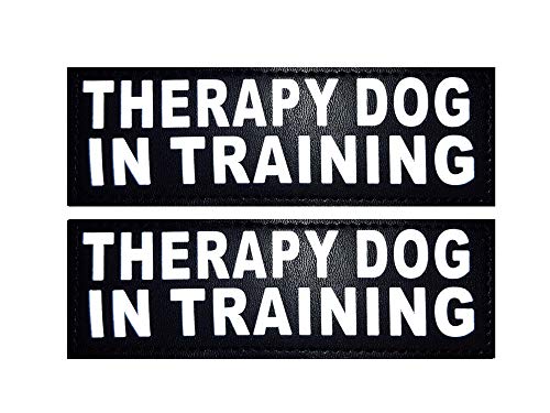 Doggie Stylz 2er Set Reflektierende Therapie Hund im Training abnehmbare Patches für Service Hundegeschirre & Westen., Large 6" X 2", schwarz von Doggie Stylz
