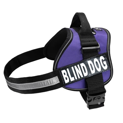 Doggie Stylz Blind Hundegeschirr mit abnehmbaren Flicken und reflektierendem Rand Wird mit 2 reflektierenden Klettverschlüssen geliefert. Messen Sie den Umfang des Hundes vor dem Kauf (Umfang 76,2 cm von Doggie Stylz