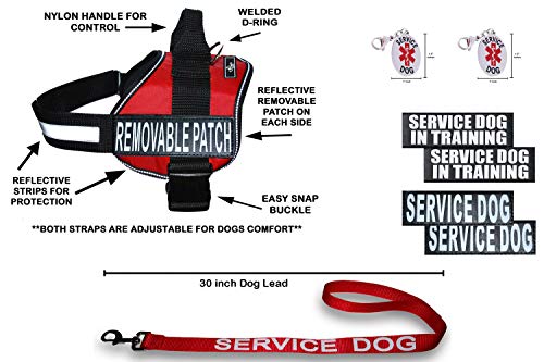 Doggie Stylz Hundegeschirr, offizielles Set Set Service Dog + Service Dog in Training abnehmbare reflektierende Patches + 76,2 cm Leine + 2 ID Dog Tags, Girth 30-42", rot von Doggie Stylz