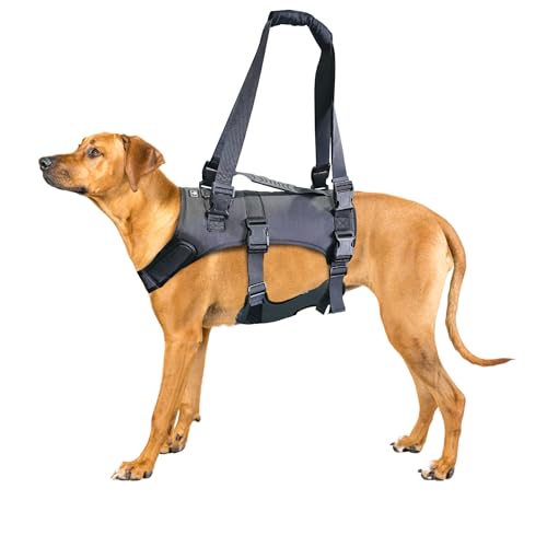 Doggie Stylz Hundegeschirr für große Hunde, Ganzkörperstütze, Tragetasche, Hundetrage mit verstellbaren Griffen, Erholungsweste für ältere Hunde, Arthritis, Gelenkverletzungen, Mobilitätshilfe, Rücken Doggie Stylz Hundegeschirr für große Hunde, Ganzkörperstütze, Tragetasche, Hundetrage mit verstellbaren Griffen, Erholungsweste für ältere Hunde, Arthritis, Gelenkverletzungen, Mobilitätshilfe, Rücken von Doggie Stylz