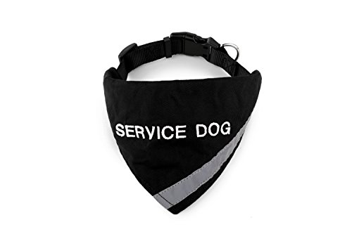 Doggie Stylz Hundehalstuch mit Reflektorstreifen für mehr Sicherheit bei Nacht. Mit integriertem passendem Halsband zum sicheren Halt, Metallring zur Befestigung der Leine, 4 Farben (XS-Mall bis Large) von Doggie Stylz