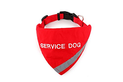 Doggie Stylz Hundehalstuch mit Reflektorstreifen für mehr Sicherheit bei Nacht. Mit integriertem passendem Halsband zum sicheren Halt, Metallring zur Befestigung der Leine, NECK 10-16", rot von Doggie Stylz
