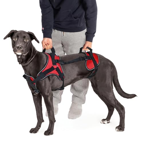 Doggie Stylz Multifunktionales Ganzkörper-Hundegeschirr, entworfen für vorne, nur hinten oder Ganzkörper-Heben Doggie Stylz Multifunktionales Ganzkörper-Hundegeschirr, entworfen für vorne, nur hinten oder Ganzkörper-Heben von Doggie Stylz