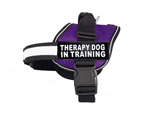 Therapie Dog in Training Hundegeschirr Nylon Hundegeschirr Kauf kommt mit 2 reflektierenden Therapie Hund in Training Abnehmbare Patches Bitte messen Sie Ihren Hund vor der Bestellung (Umfang 48,3 von Doggie Stylz