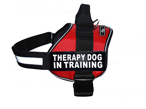 Therapie Hund in Training Nylon Hundegeschirr Hundegeschirr Kauf kommt mit 2 reflektierenden Therapiehunden in Trainingspfaden Bitte messen Sie Ihren Hund vor der Bestellung (Umfang 483 635 cm Rot) von Doggie Stylz