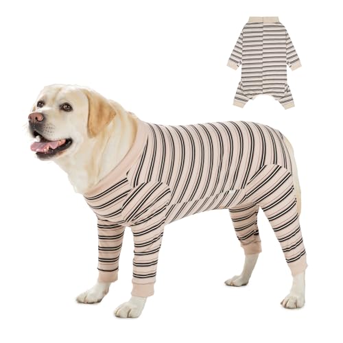 DoggieKit Chirurgischer Genesungsanzug für Hunde nach Operationen, Haustier Anti Lecken Chirurgie Anzug, Pet Surgical Suit Bodysuit für Kleine Mittlere Hunde,Wundschutz (Weiß, M) von DoggieKit