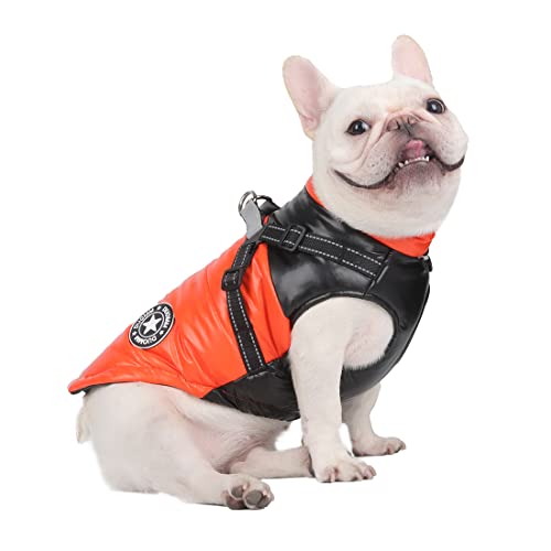 DoggieKit Hundemantel Winter Warm Gepolstert Puffer Pet KostümHund Kleidung Winterweste Hundejacke Wintermäntel wasserdichte Warme Jacke Sweater für Kleine Mittelgroße Große Hunde (M, Orange) von DoggieKit