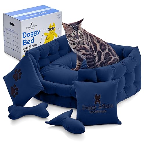 Doggy Affairs HandMade Luxus-Katzenbett mit abnehmbarem, waschbarem Bezug, Premium-Katzenbetten für Indoor-Katzen, ausgefallenes Hundebett für kleine Hunde, rutschfeste Katzen-Couch-Bett, Doggy Affairs HandMade Luxus-Katzenbett mit abnehmbarem, waschbarem Bezug, Premium-Katzenbetten für Indoor-Katzen, ausgefallenes Hundebett für kleine Hunde, rutschfeste Katzen-Couch-Bett, von Doggy Affairs HandMade