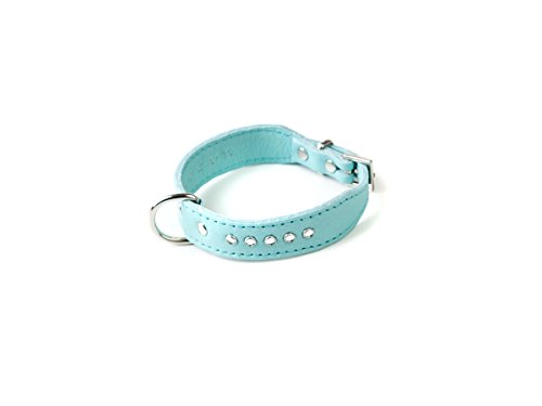Doggy Things Italienisches mit Halsband von Doggy Things